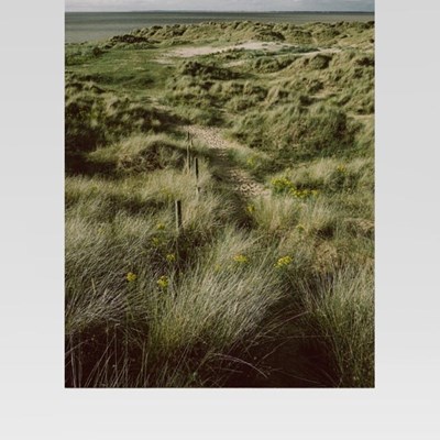 Sustainability Report 2024